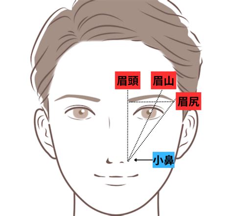 眉頭突起